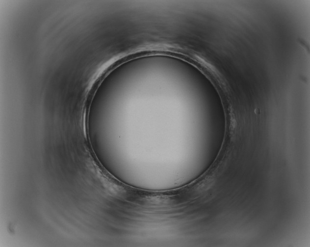 X0000103421272200809121259