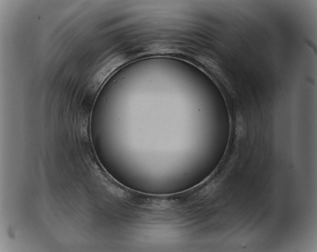 X0000103421273200809121259