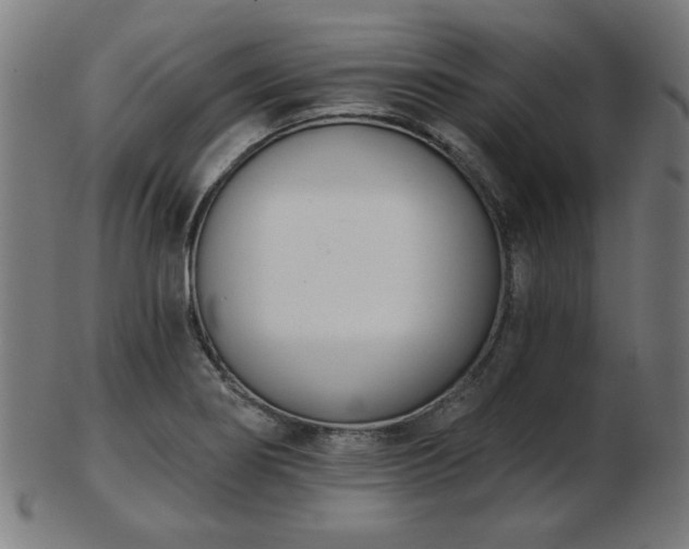 X0000103421274200809121259