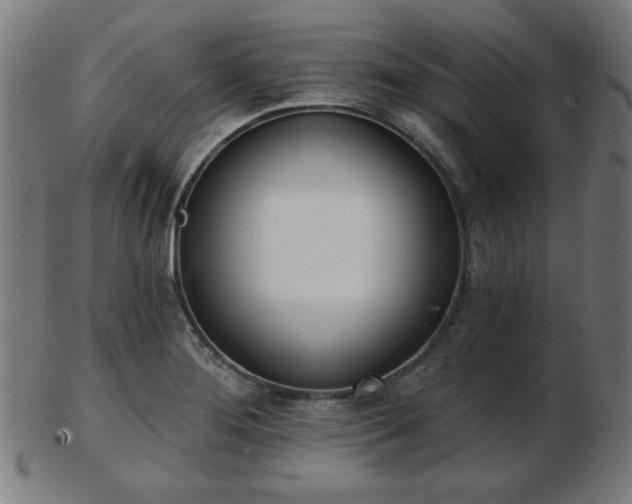 X0000103421276200809121259