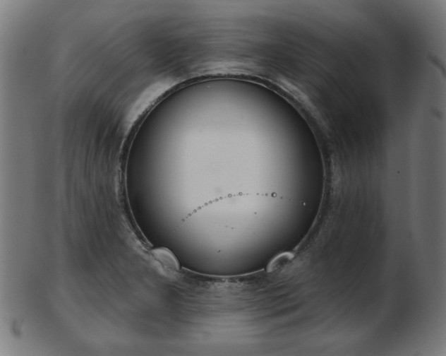 X0000103421277200809121259