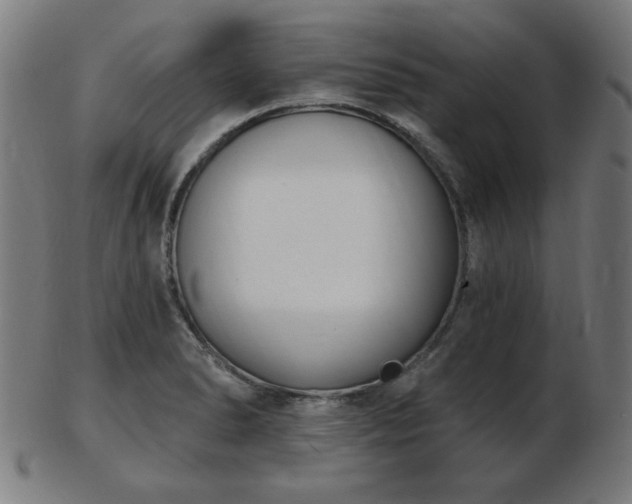 X0000103421278200809121259