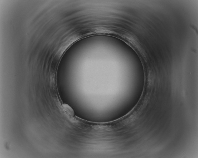 X0000103421281200809121258