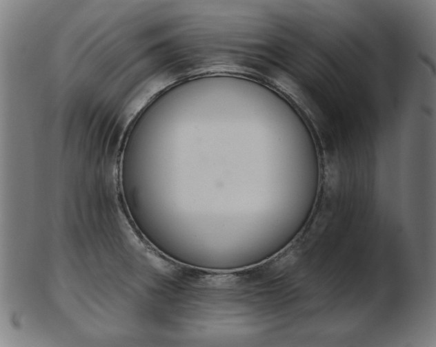 X0000103421282200809121258