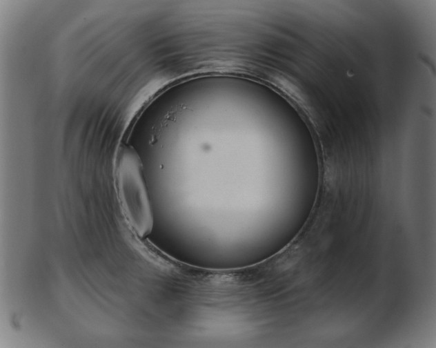 X0000103421283200809121258