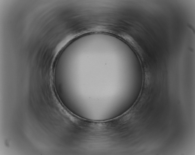 X0000103421286200809121258