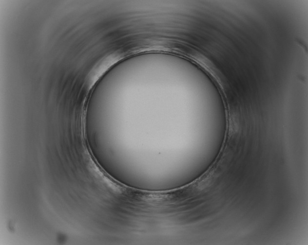 X0000103421290200809121258
