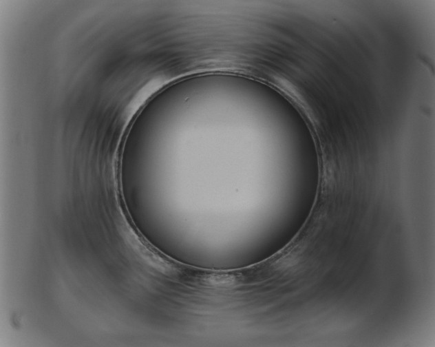 X0000103421291200809121258