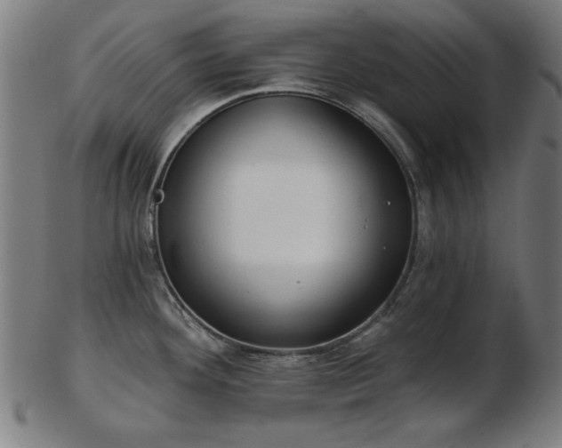 X0000103421292200809121258