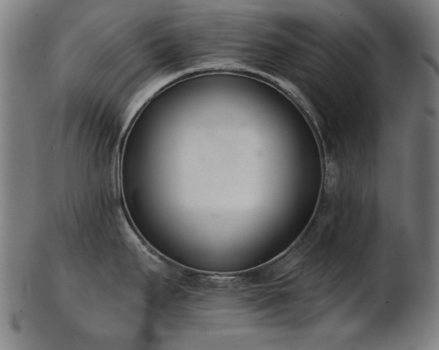 X0000103421295200809121258