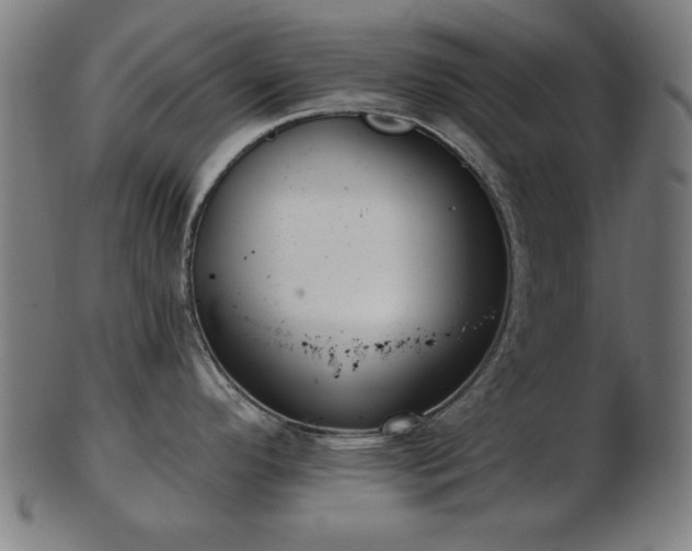 X0000103421296200809121258