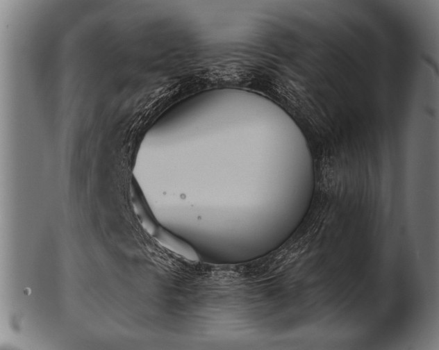 X0000103421297200809121258