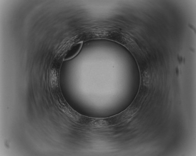 X0000103421298200809121258