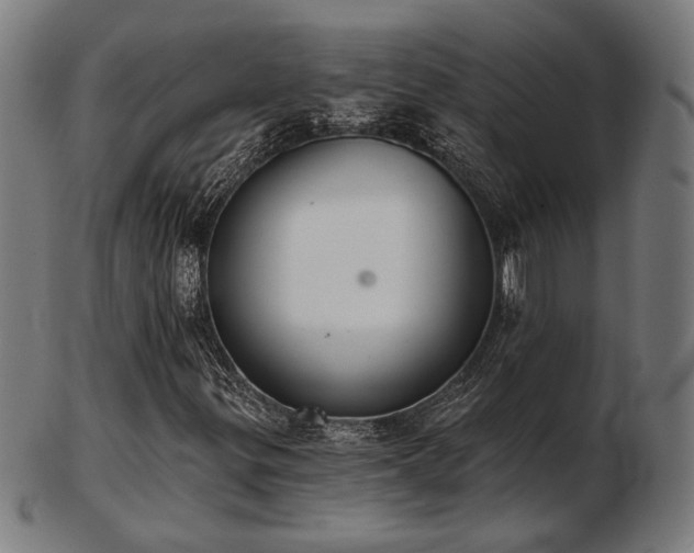 X0000103421299200809121258