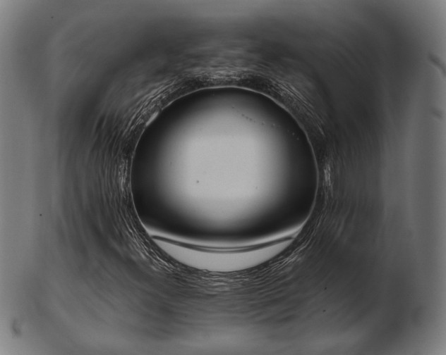 X0000103421300200809121258
