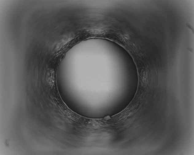 X0000103421301200809121258