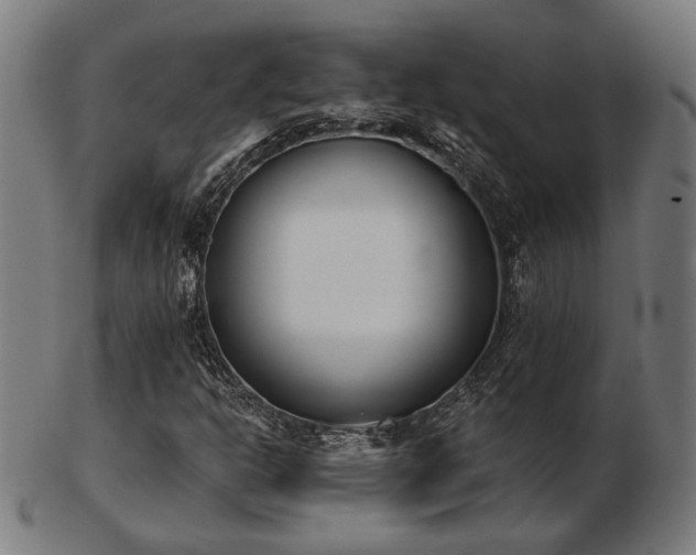 X0000103421302200809121258