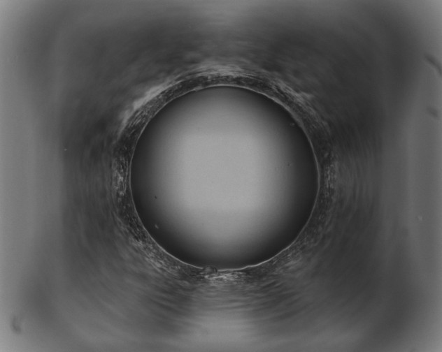 X0000103421303200809121258