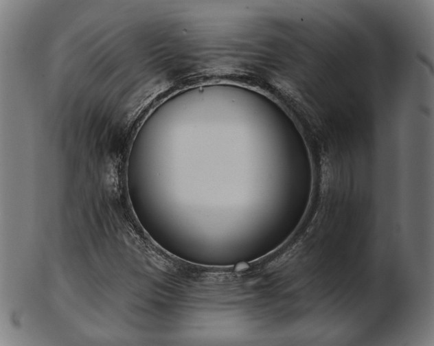 X0000103421305200809121258