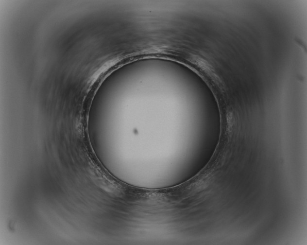 X0000103421308200809121258
