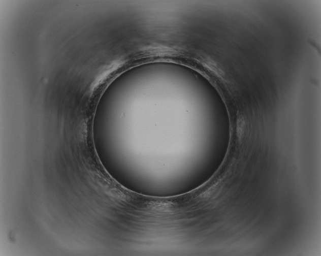 X0000103421309200809121258