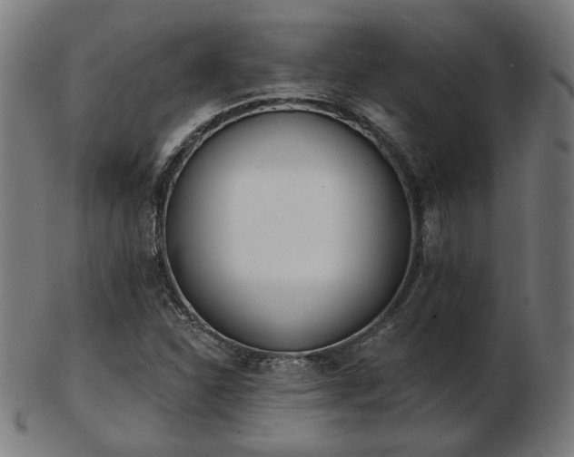 X0000103421310200809121258