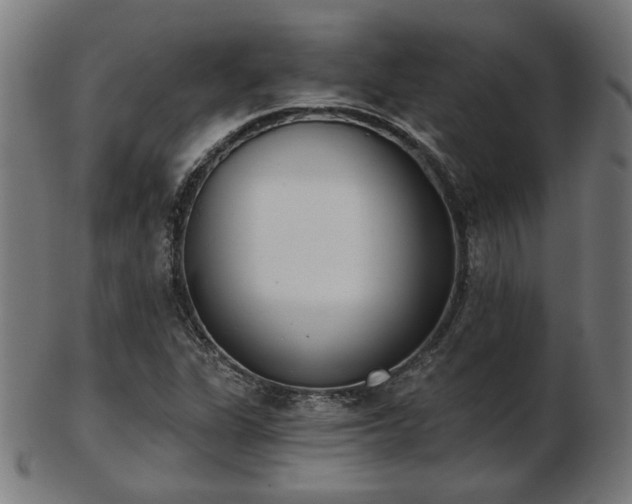 X0000103421311200809121258