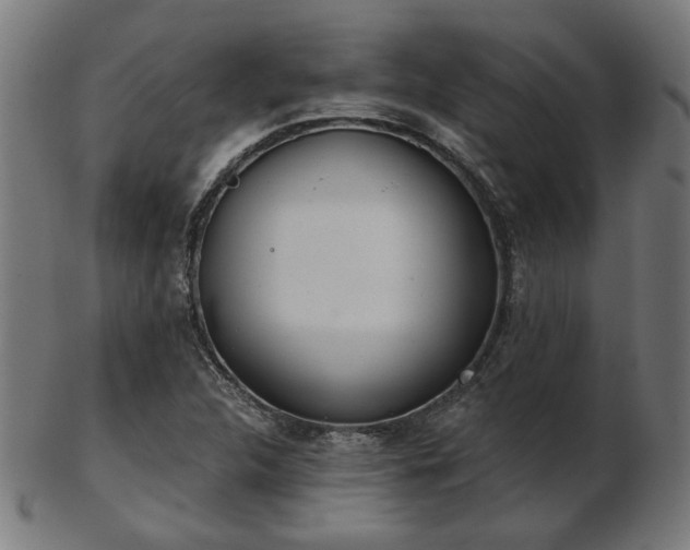 X0000103421312200809121258