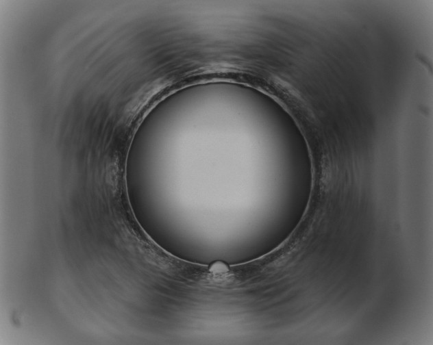 X0000103421313200809121258