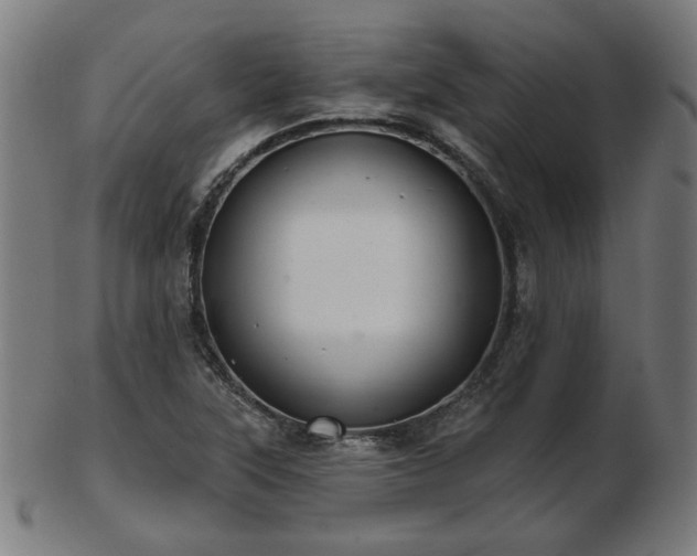 X0000103421315200809121258