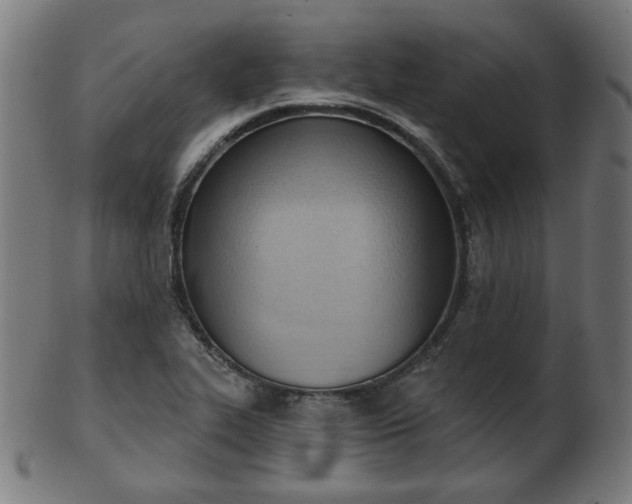 X0000103421319200809121258