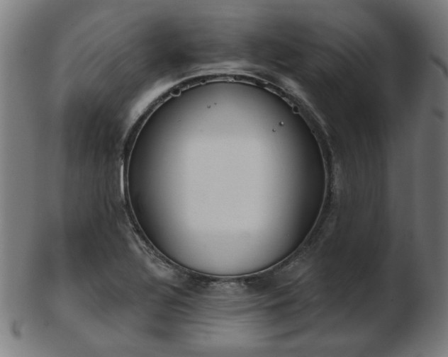 X0000103421320200809121258