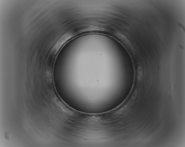 X0000103421321200809121258
