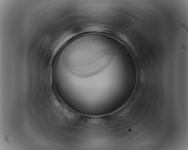 X0000103421323200809121258