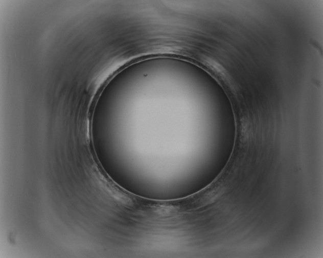 X0000103421324200809121258