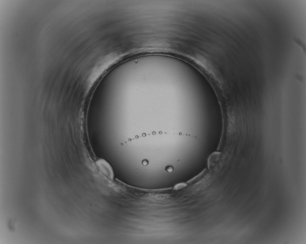 X0000103421325200809121258