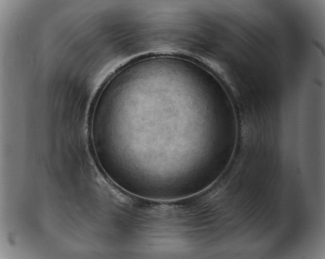 X0000103421327200809121258