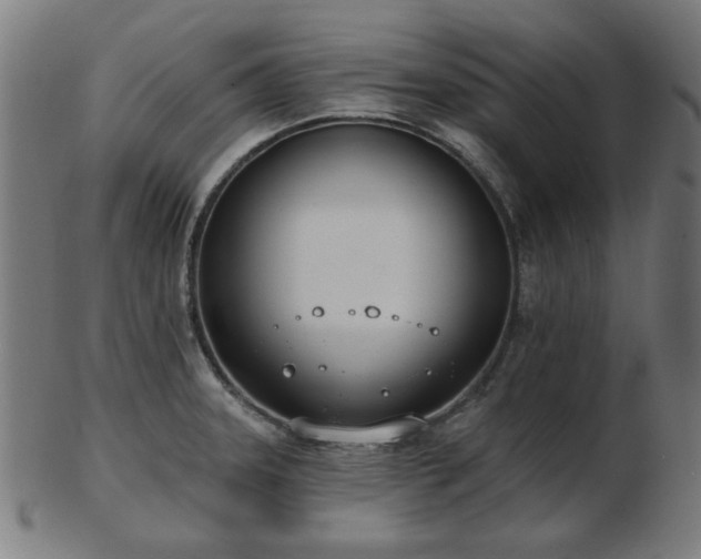 X0000103421331200809121258