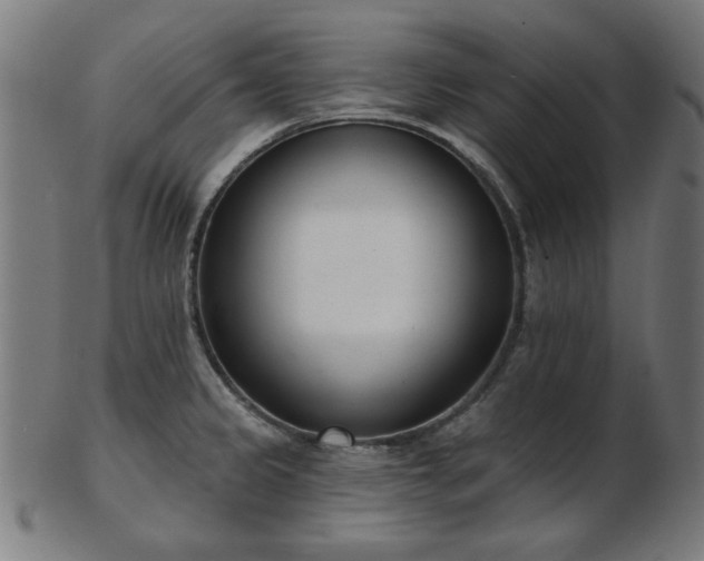 X0000103421333200809121258