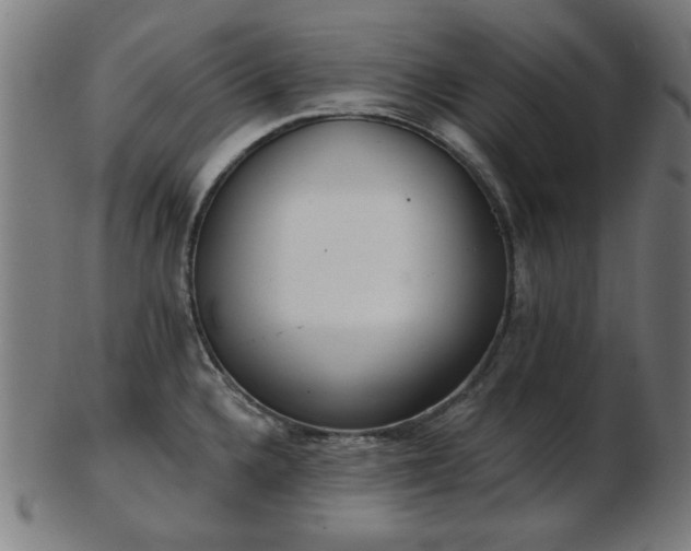 X0000103421336200809121258