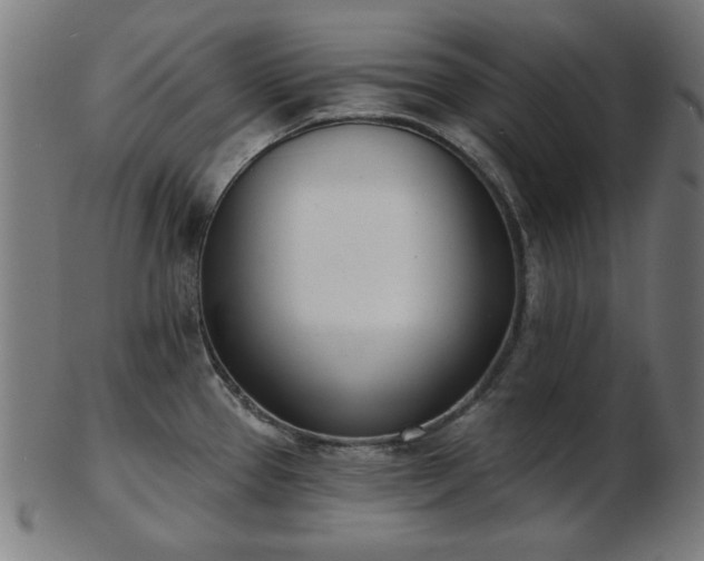 X0000103421337200809121258