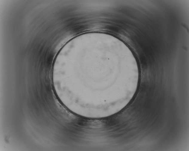 X0000103421338200809121258