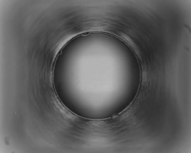 X0000103421340200809121258