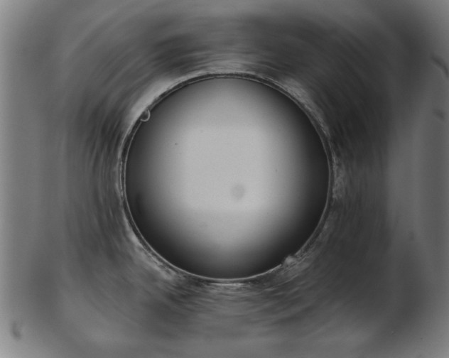 X0000103421342200809121258