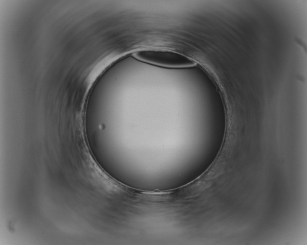 X0000103421344200809121258