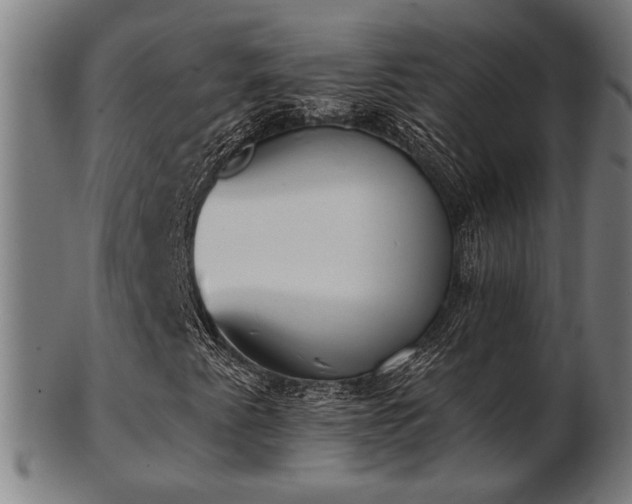 X0000103421345200809121258