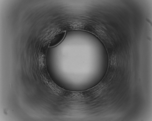 X0000103421346200809121258