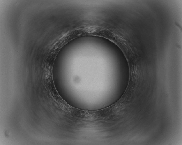X0000103421349200809121258