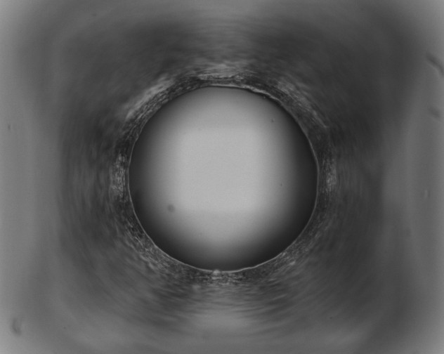 X0000103421350200809121258