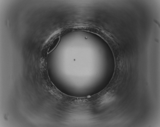 X0000103421351200809121258